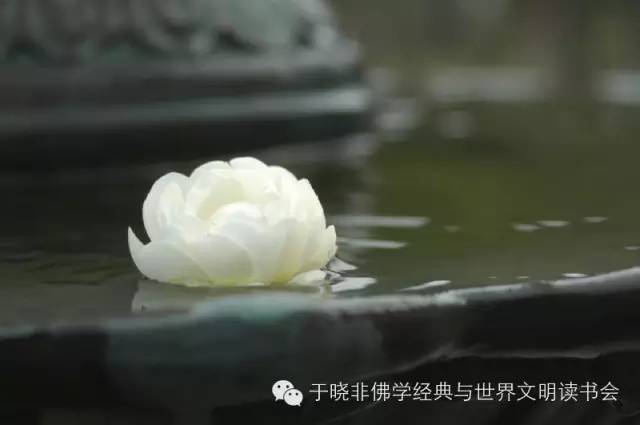 【师说】第5期：沙门的产生与佛教的传承