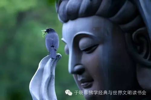 【师说】第10期：“解行并重”与“三皈依”